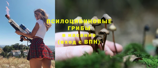 амфетамин Алексеевка